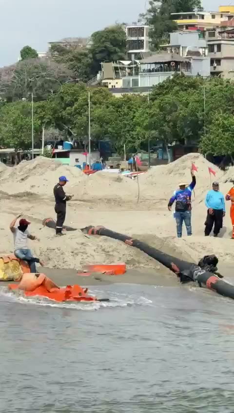 Vídeo: la línea de mangueras entra al agua desde la playa